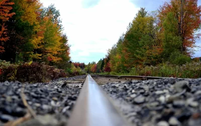 Exercer au Québec quand on est pharmacien ou préparateur français